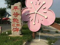 -小慧大桃观光采摘园
