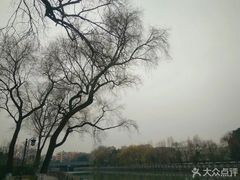 -杭州城北体育公园