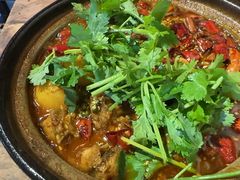 -有红鸡毛店·砂锅菜(抚琴夜市店)