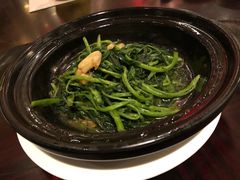 虾酱通心菜-新天世纪中餐厅