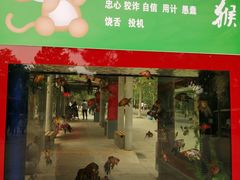 -石家庄市动物园