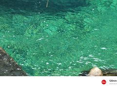 -石台牯牛降景区