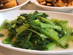-锦水苑川菜馆(风格雅园店)