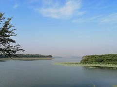 -丁香湖公园