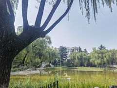 -西安市长乐公园