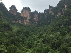 -赤水丹霞旅游区·佛光岩