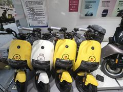 -九号电动车(安定门内大街店)