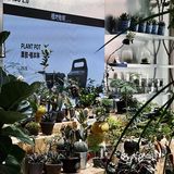 躺在城市森林晒会儿太阳🍃给精神以光合作