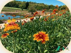 -南京市无想山景区