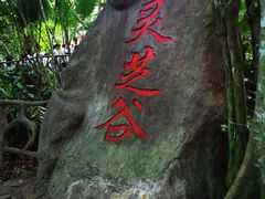 -呀诺达热带雨林