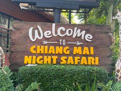 -清迈夜间动物园