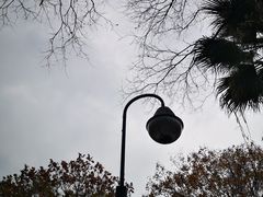 -苏州河梦清园环保主题公园