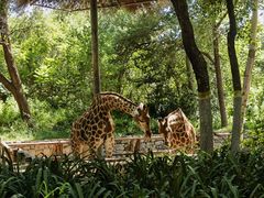 -北京野生动物园