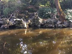 -秋霞圃