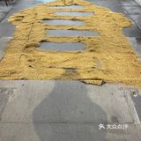 集合！！