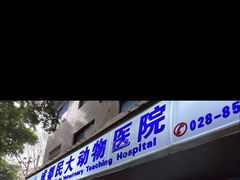 -成都民大动物医院