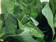 -南门四季铜锅涮肉(大屯·北苑店)