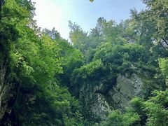 -茅兰沟国家森林公园