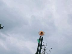 -佛手湖郊野公园