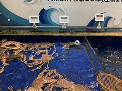 -高佳庄·舟山海鲜(海景旗舰店)