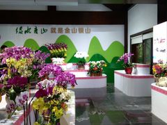-金花茶公园