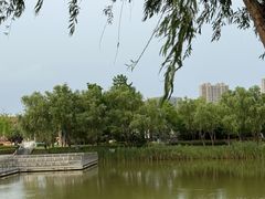 -灵秀公园