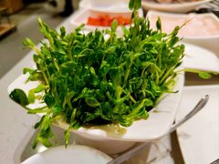一口脆嫩豌豆尖-海底捞火锅(关山保利店)