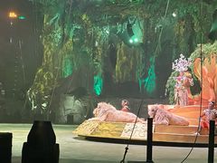 -广州长隆国际大马戏