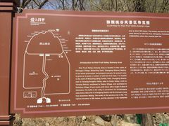 -大岭沟猕猴桃谷风景区