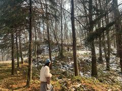 -波尔登森林公园
