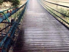 -南宁良凤江国家森林公园