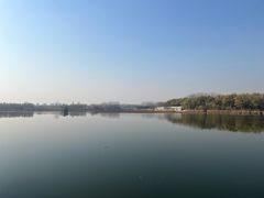 -大兴滨河森林公园