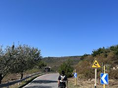 -阳台山自然风景区