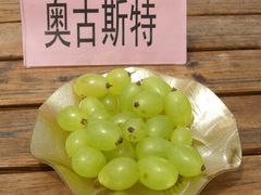 -马陆小张葡萄园农家乐