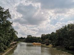 -上海海湾国家森林公园