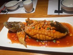 -宋小谨(惠安禹洲店)