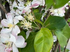 -悦真雅院·四合院·清真私房菜(雍和宫店)