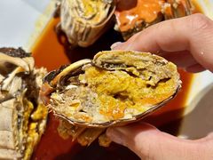 -杨氏青龙虾·羊蝎子(金盛路总店)