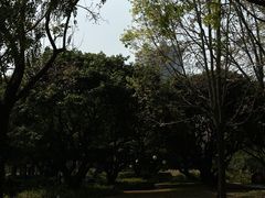 -荔香公园