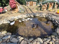 -HERRE·FARM 赫尔露营农场·团建聚会包场