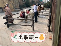 -哈尔滨波塞冬海底世界