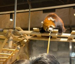 -Zoolung Zoolung动物主题公园(海信广场店)