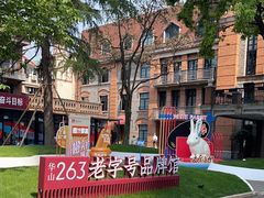 -华山263老字号品牌馆