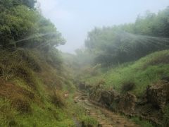 -雪山彩虹谷景区