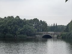 -成都南湖公园
