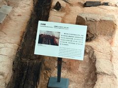 -南越王博物院(王宫展区)
