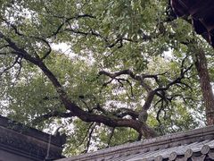 -钱王祠