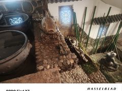 -沸腾鱼乡(知春路分店)