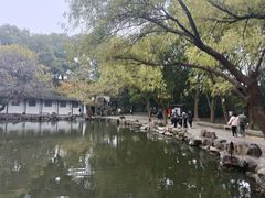 -西园戒幢律寺