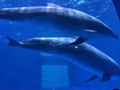 -多彩贵州城极地海洋世界